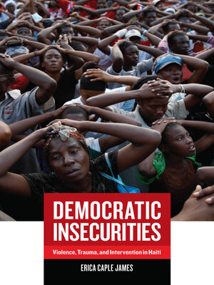 cover image of Democratic Insecurities